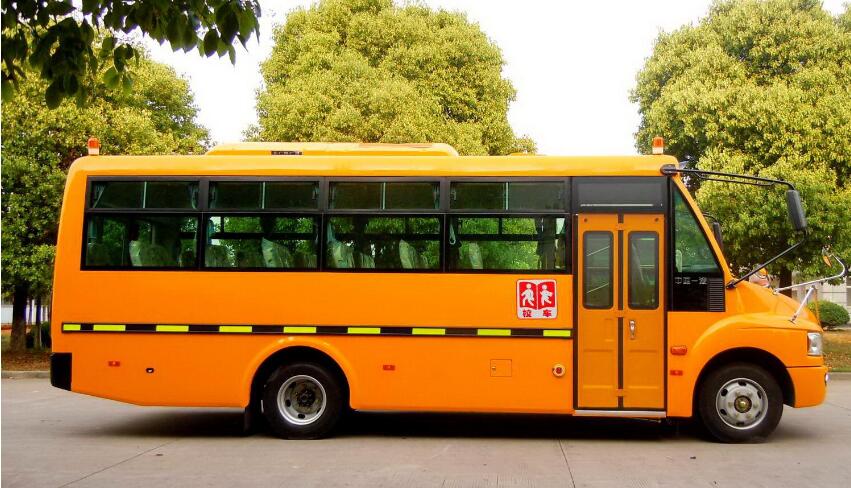 THE STANDARD OF SPECIAL SCHOOL BUSES